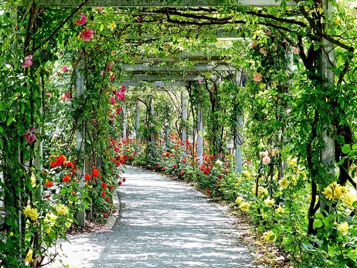 Passage mit blumenbewachsenden Bögen (Bild von Schwoaze auf Pixabay)