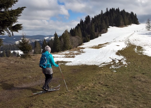 Skifahrer auf schneefreier Piste